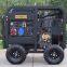 Hot Sale for Home/Outdoor Use Dualpower diesel generator with Electric Starter, Ce Euro V, EPA