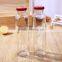 300ml clear beverage drinking bottles with screw cap