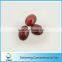decorative turtle shaped resin stone beads for garment