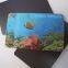 Souvenir Promotional Gifts 3D Lenticular Fridge Magnet