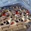 5404060 5529522 Imported Parts Diesel Engine Parts QSC QSL Cylinder Head 5404060 5529522