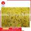 Hot Selling Good Use Natural Yellow Rubber Bands For Tie Money                        
                                                Quality Choice