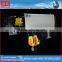 FEM/DIN European Standard Wire Rope Electrical Hoist Crane