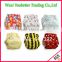 Beautiful printed Baby Minky Cloth Diaper Suede Diapers