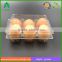 Clear plastic disposable egg box