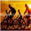 CE EN13356 promotion PVC reflective armband reflective slap wrap