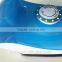 Dry spray vertical steam burst steam function electric iron 1600-2200W(WSD-018)