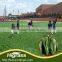 green artificial grass lawn Changzhou manufacturer