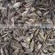 China Roasted Salted Sunflower seeds with best price