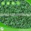 Artificial grass for landscaping