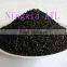professional coconut shell activated carbon