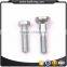 Custom non-standard fastener/screw
