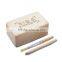 Small Dinosaur skeleton dig kit