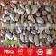 Light coloured speckled kidney beans for sale