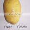 2015 holland potato farms from shandong province export to dubai