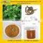 Siberian Ginseng Extract Eleutheroside