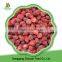 New Crop Iqf Frozen Strawberry/good Frozen Berry Fruits Supplier From China