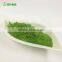Organic Barley Grass Juice Powder 300-500 Mesh