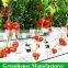 Quality assured plastic film wide multi span greenhouse