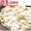 Shine Skin Type Pumpkin Seeds in Shell