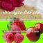 Compound Amino Acid Powder