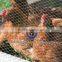 Metal Steel Galvanized Checken Cage Heavy Rabbit Cage Hexagonal Wire Netting For sale