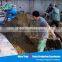Practical farm use animal waste Solid Liquid Separator