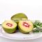 best quality new chinese kiwifruit brand