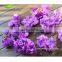GNW FLH704 Centerpiece for Wedding Plastic Artificial Flower Making Hydrangea Cut Flowers