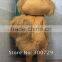 2012 squirrel mascot costume for party NO.2038