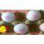 egg code inkjet printer