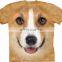 new design 100% cotton 3d t shirt, 3d printing t-shirt, 3d t-shirt