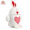 China import stuffed animal pet toy standing plush rabbit with loving heart