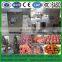 10-15g industrial meatball automatic round fish beef meat ball making machine