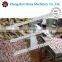 High quality fish weight sorting machine with hot sale