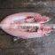 Fish cleaner machine automatic fish fillet machine | fish killing gutting cleaning machine