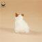 ITZZZ Realistic Life Size Simulation Sitting Cat Furry Animal With Plastic Cat Photography Props