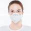 Protective Folding Style Earloop Dust Mask with Invisible Nose Bar