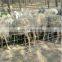 cattle fence on farm