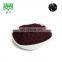 Maqui Berry Extract Powder for health function usage food