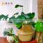 jumbo handmade  play mat toys storage organizer baskets sundries seagrass storage baskets for plants