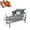 macadamia nut cracker machine almond cracking machine