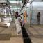 Goat Abattoir Carcass Processing Convey Rail For Lamb Slaughtering Machine