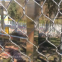 Cable Mesh/Stainless Steel Wire Rope Mesh/ Ferrule Type Wire Rope Mesh