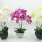 Indoor decor artificial latex flowers orchids with wholesale price