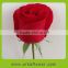 Beautiful lady favorite types of rose cut flower to Russia