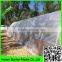 high quality garden greenhouse shed,uv resistant greenhouse film for mushroom