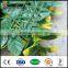artificial grass plants decorative wall hanging