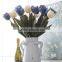 Dried flowers, single branch the Dutch tulip flower wholesale