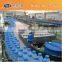 Filled Bottle Conveyor System